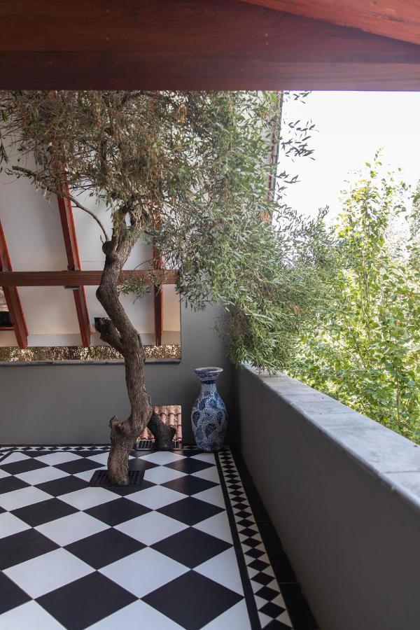 Bella Blue Guesthouse Блумфонтейн Екстер'єр фото